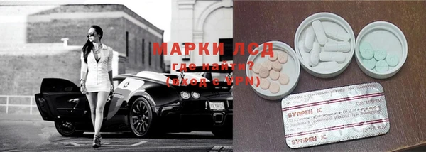 СК Алексин