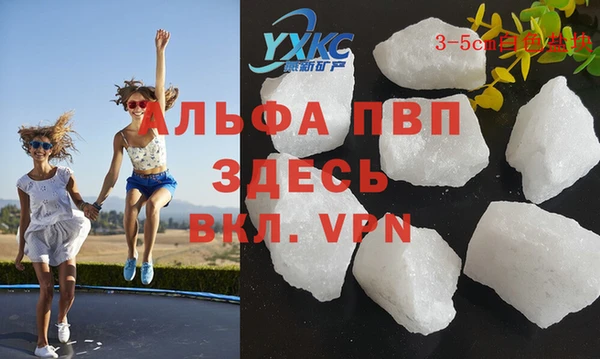 СК Алексин