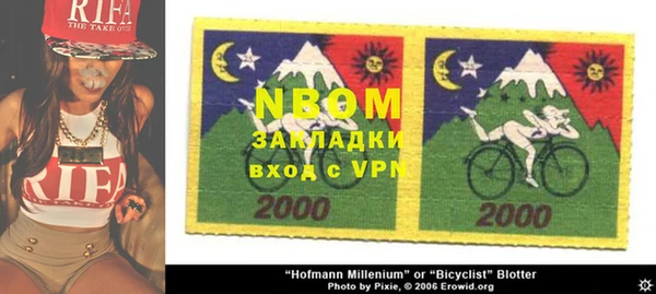 гидропоника Ельня