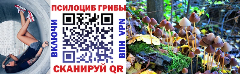 Псилоцибиновые грибы прущие грибы  где можно купить   Таштагол 