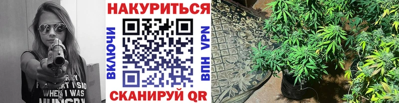 МАРИХУАНА планчик  Таштагол 